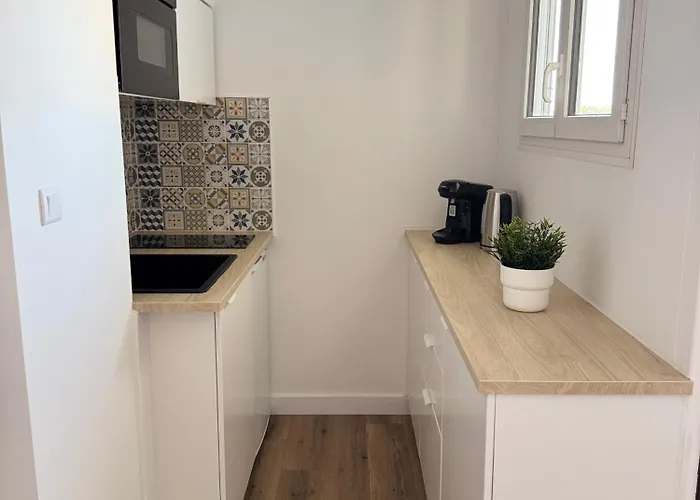 Apartment Confort-terrasse-parking-wifi-cap D'agde *